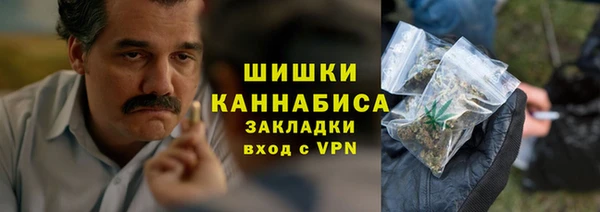 стаф Балахна