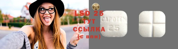 стаф Балахна