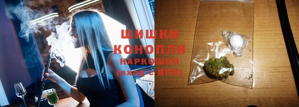 стаф Балахна