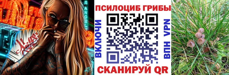 МЕГА онион  мориарти клад  Галлюциногенные грибы мухоморы  что такое   Усть-Лабинск 